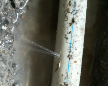 顺昌卫生间测漏水多少钱