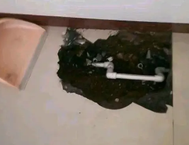 顺昌卫生间测漏水多少钱