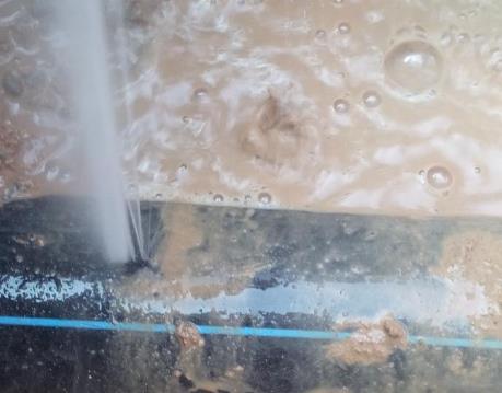 顺昌卫生间防水哪家好
